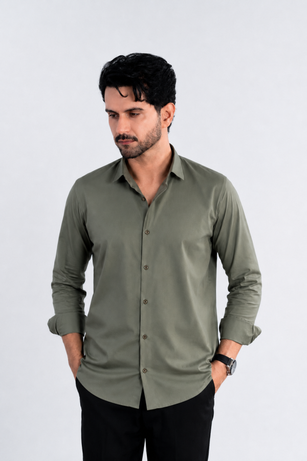 The Olive